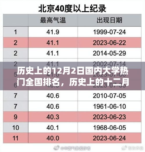 2024年12月4日 第36页