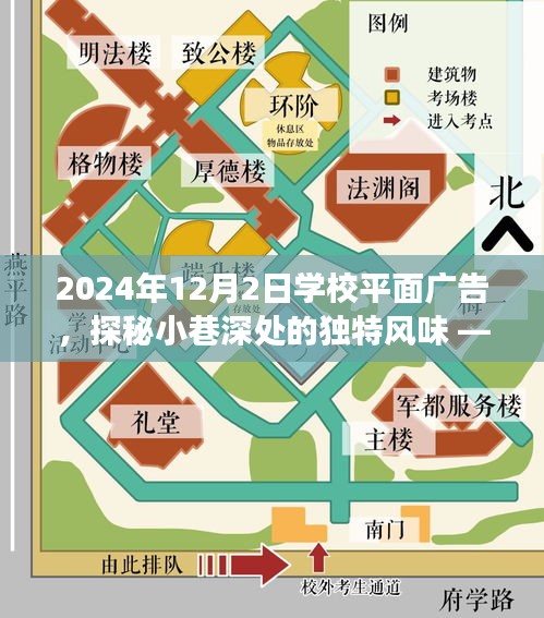 2024年12月4日 第34页