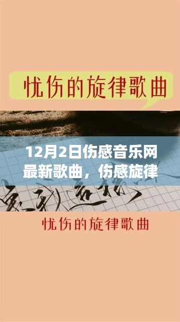 12月2日伤感音乐网最新歌曲，深度解析伤感旋律的新篇章