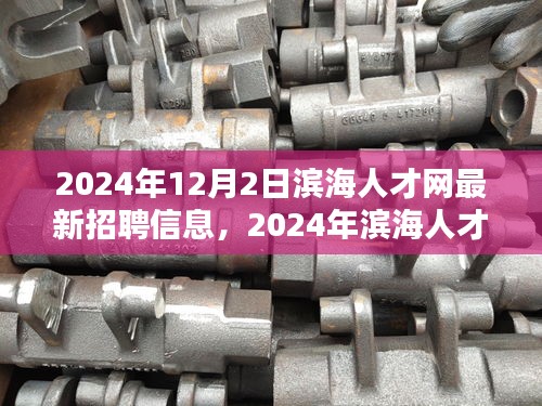 2024年滨海人才网最新招聘信息全面解析