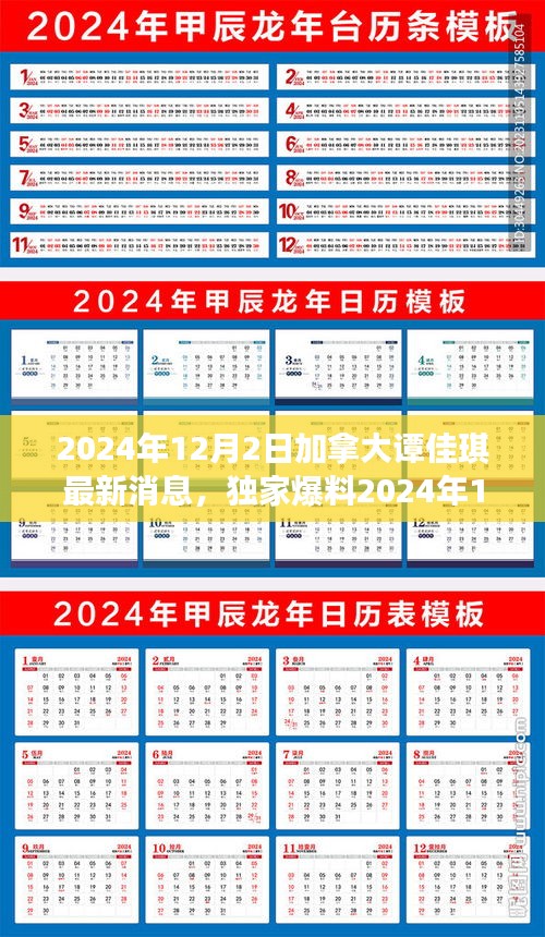 独家揭秘，谭佳琪在加拿大的最新动态与消息（2024年12月）