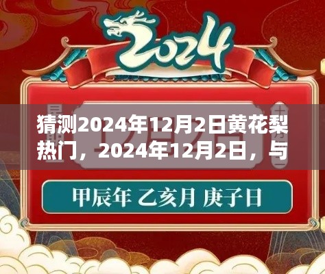 2024年12月2日与黄花梨的美丽邂逅