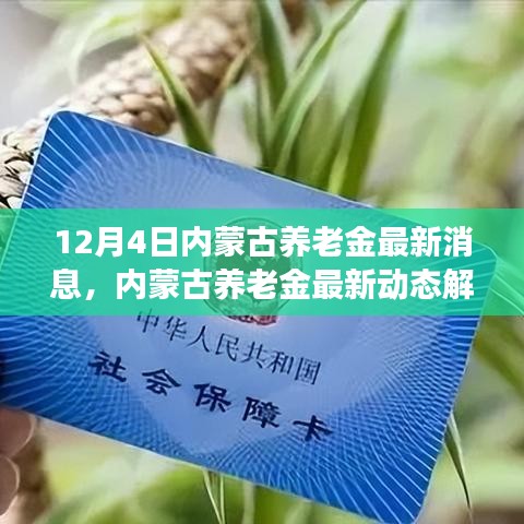 内蒙古养老金最新动态解析与深度探讨，多方观点交织下的最新消息