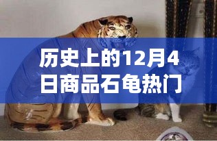 商品石龟热门价格解析，入门与进阶指南——历史上的12月4日篇