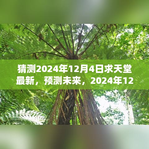 2024年12月4日求天堂最新动态预测与未来展望