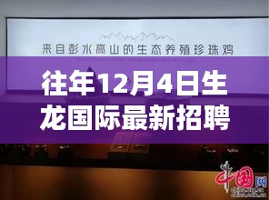 生龙国际最新招聘动态解析，特性、体验、竞品对比与用户群体深度分析报告