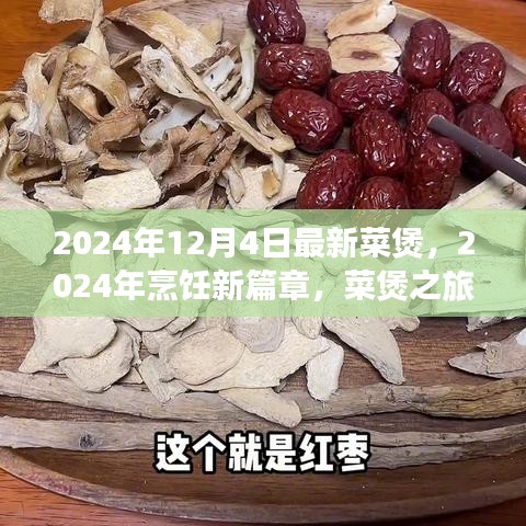 探寻自然的怀抱与内心的宁静，最新菜煲之旅启程于2024年烹饪新篇章