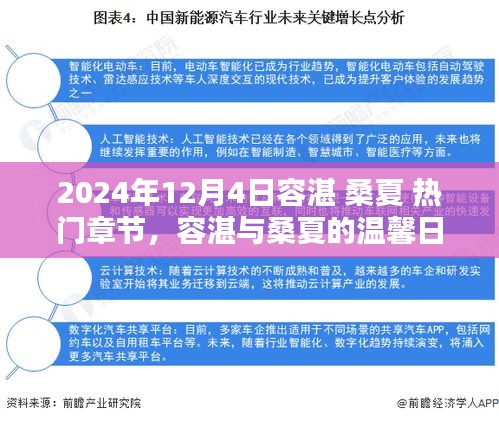 容湛与桑夏的温馨日常，友谊的温暖与陪伴的喜悦（热门章节 2024年12月4日）