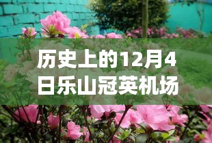 乐山冠英机场，历史时刻下的飞行梦想重塑新纪元揭秘！