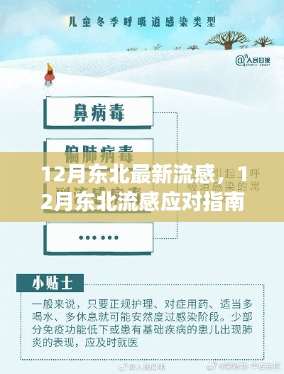 12月东北流感应对指南，全方位守护健康，初学者快速掌握应对策略