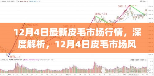 12月4日皮毛市场行情深度解析，探寻风云背后的时代印记