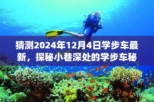 探秘小巷深处的学步车秘境，2024年12月4日学步车最新展望与未来探秘