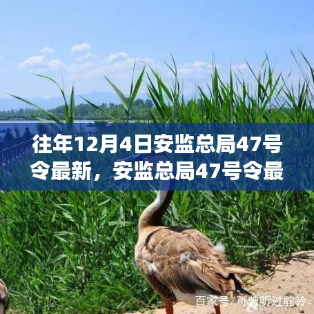 安监总局最新47号令解读与操作指南，初学者与进阶手册