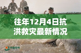 往年12月4日抗洪救灾综述，最新动态与进展报告