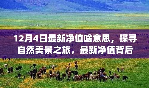 探寻自然美景之旅，最新净值背后的宁静力量与意义解读