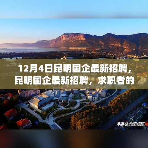 昆明国企最新招聘，初学者与进阶用户的求职指南（12月4日版）