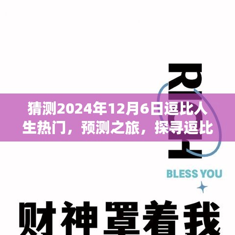 探寻逗比人生热门趋势，预测之旅——以2024年12月6日为观察点