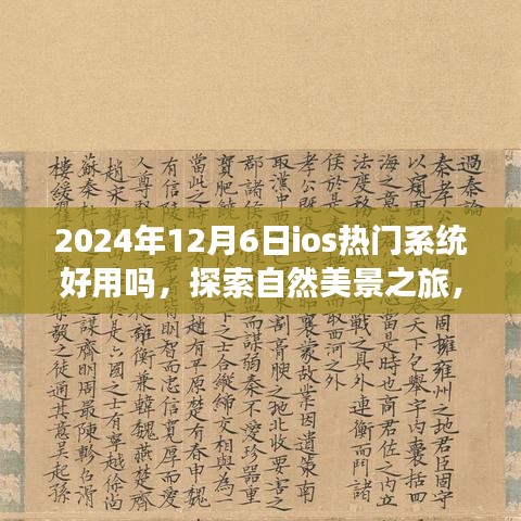 2024年12月6日