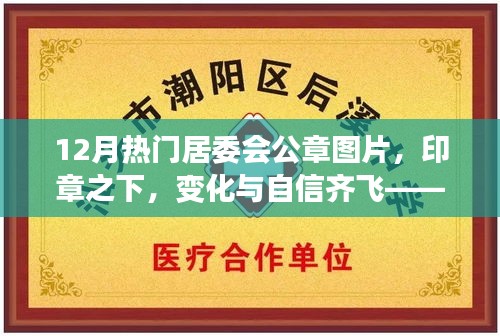 十二月居委会公章背后的故事，变化与自信齐飞，印章背后的励志篇章