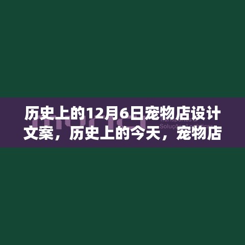 历史上的12月6日宠物店设计文案，历史上的今天，宠物店设计的灵感之旅，一场学习与变化的自信盛宴