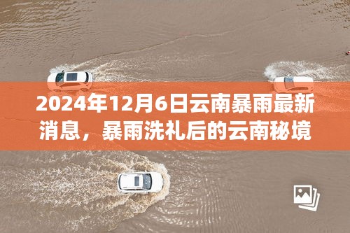 2024年12月6日云南暴雨最新消息，暴雨洗礼后的云南秘境，一场寻找内心平静的绿色探险之旅