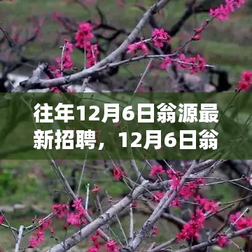 12月6日翁源新招聘启幕，与自然共舞，探寻内心桃花源之旅