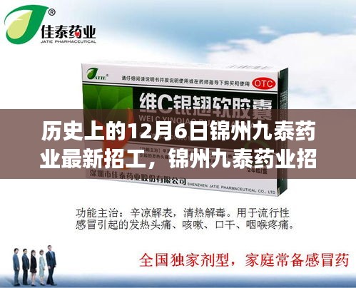 历史上的12月6日锦州九泰药业招工日，缘分与友情的温馨邂逅之旅