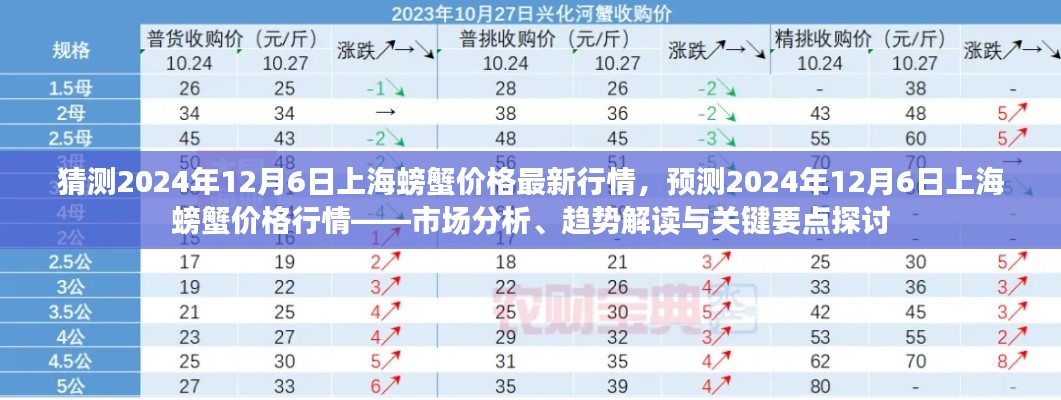 2024年12月6日上海螃蟹价格行情预测，市场分析、趋势解读与关键要点探讨