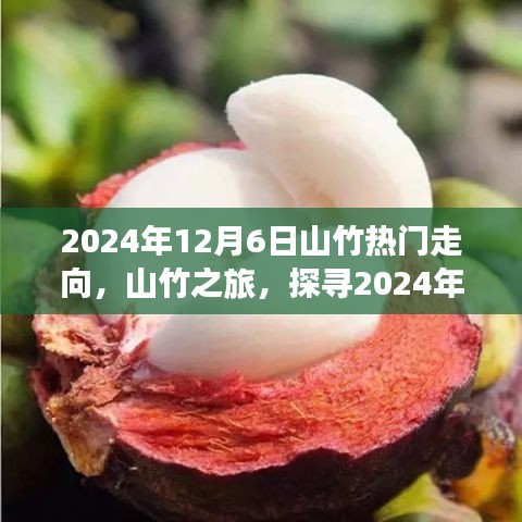 探寻山竹之旅，绿色桃花源启程内心的平和之旅（2024年山竹热门走向）