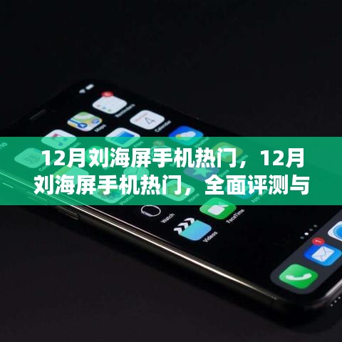 12月刘海屏手机热门全面评测与介绍