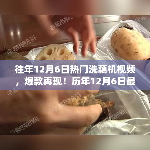 历年12月6日热门洗藕机视频回顾与解析，爆款再现，全览最火洗藕机视频风采