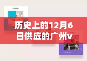 广州VI设计公司历史沿革与运营全攻略（初学者进阶手册，聚焦12月6日）