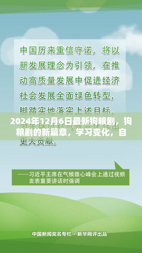 2024年12月6日最新狗粮剧，狗粮剧的新篇章，学习变化，自信成就，2024年我们一起成长