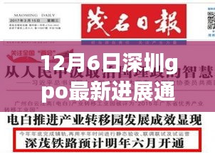 深圳GPO最新进展通报，多方视角解读与观点碰撞深度剖析