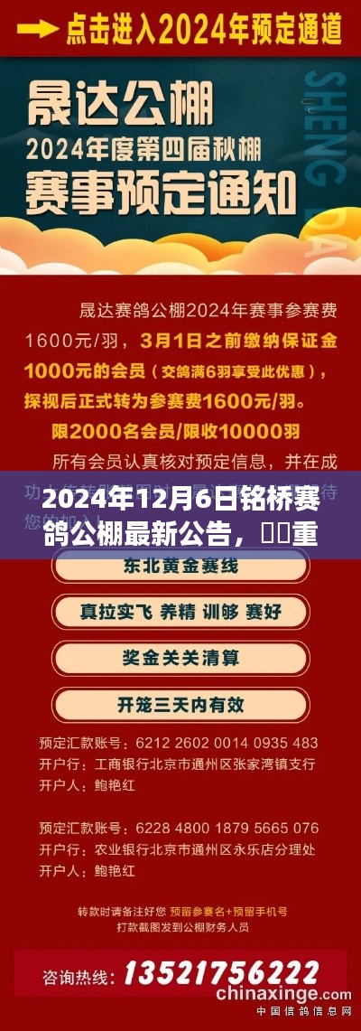 铭桥赛鸽公棚最新公告揭秘，2024年12月6日重磅更新与赛鸽动态