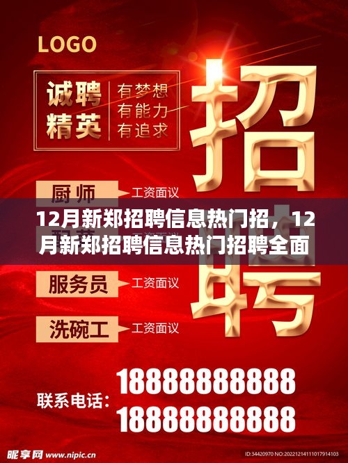 12月新郑招聘信息热门招，12月新郑招聘信息热门招聘全面解析