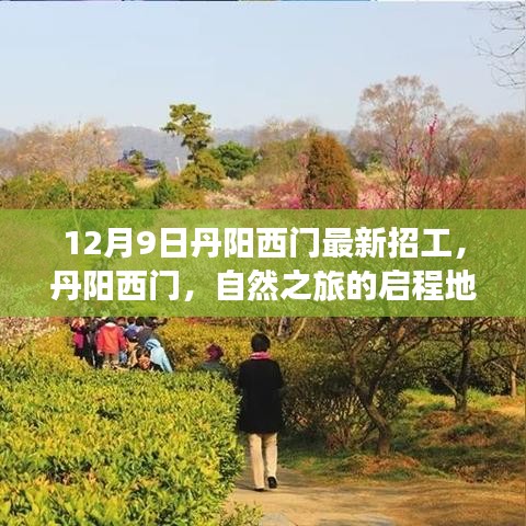 丹阳西门心灵探索之旅，最新招工启事与启程地之旅