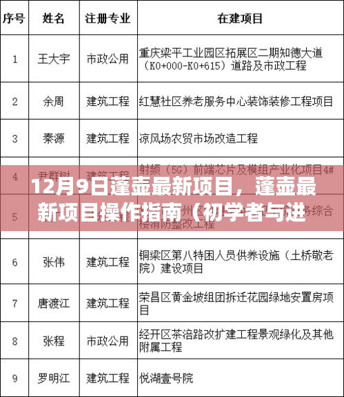 蓬壶最新项目操作指南，从初学者到进阶用户的全方位指南（12月9日更新）