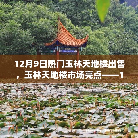 玉林天地楼市场亮点解析，热门楼盘出售深度探讨