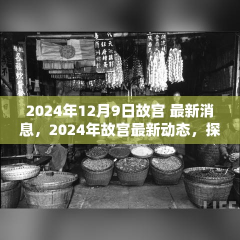 故宫最新动态揭秘，探寻文化瑰宝传承与创新之路在2024年12月9日迎来新篇章