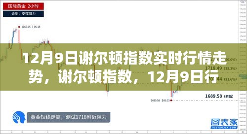 12月9日谢尔顿指数行情深度解析与实时走势