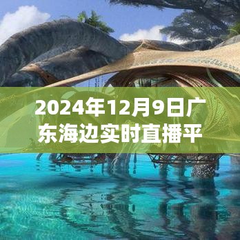 2024年12月9日广东海边直播盛宴，视听新纪元开启，实时直播平台官网与小红书推荐