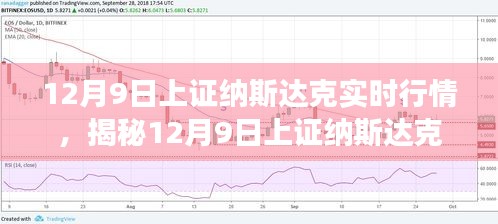 揭秘，12月9日上证纳斯达克实时行情深度解析与股市走势预测