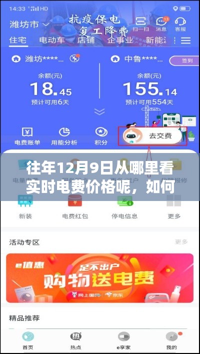 如何查看往年12月9日实时电费价格，详细步骤指南