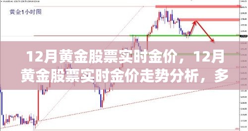 12月黄金股票实时金价走势深度解析，多方观点交汇与个人立场探讨