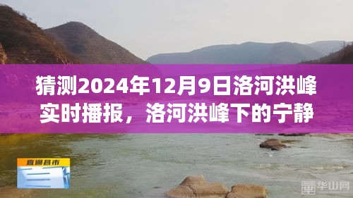 洛河洪峰下的宁静之旅，洛河洪峰实时播报与心灵探险之旅（猜测2024年12月9日）