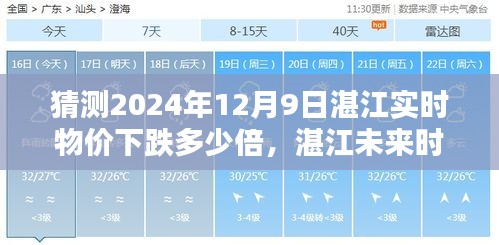 湛江未来时光之窗，智能预测系统引领物价新纪元，实时物价动态预测与掌控（2024年12月9日）