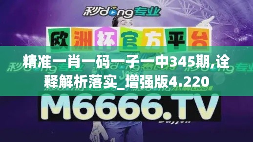 精准一肖一码一子一中345期,诠释解析落实_增强版4.220