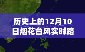 2024年12月10日 第12页