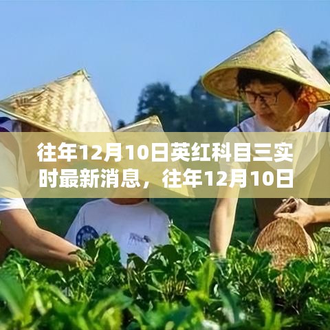 往年12月10日英红科目三最新消息综述，影响与各方观点探讨